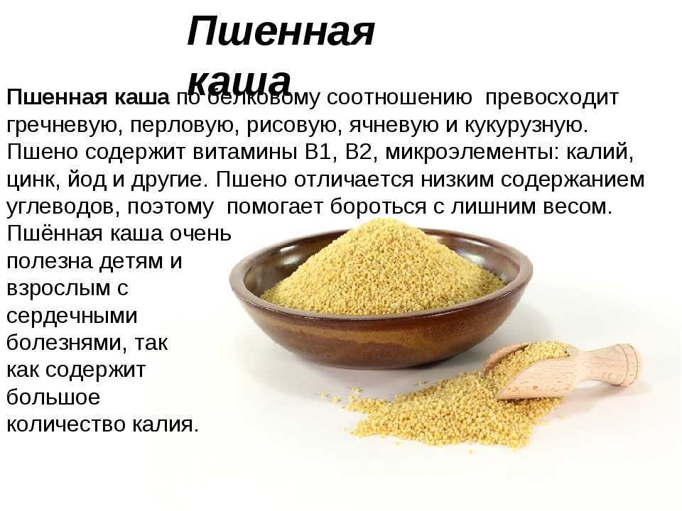 Характеристика крупы пшенка. Рассыпчатая пшенная каша пропорция. Польза пшенной крупы. Пшенная каша польза.