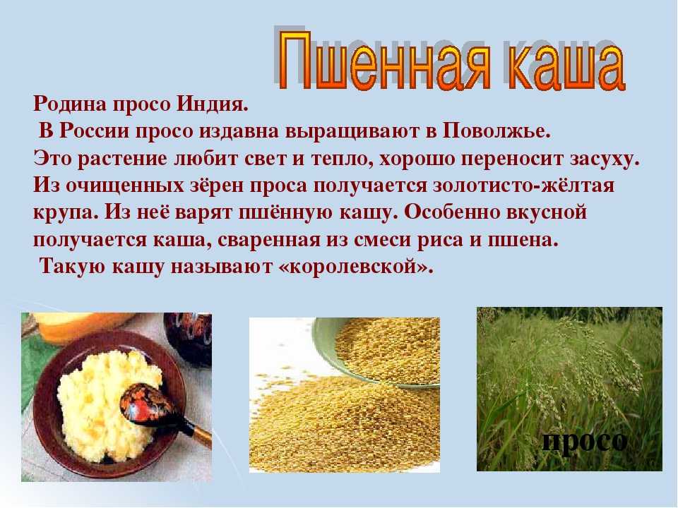 Картинки пшенная каша карточки