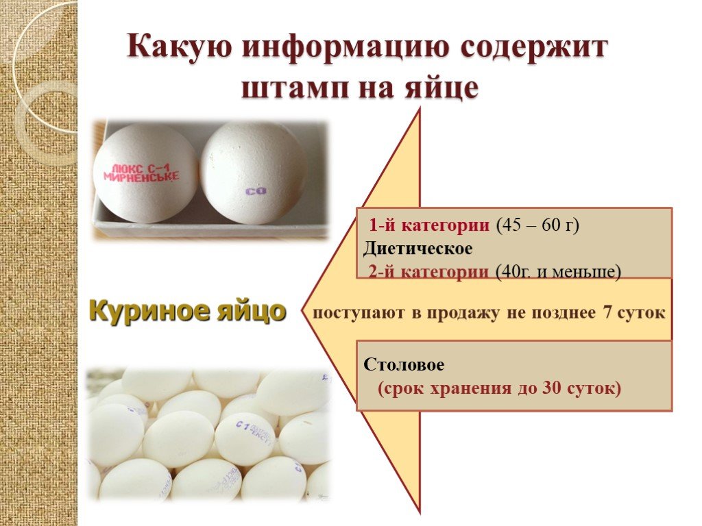 Схема подготовки яиц куриных к производству