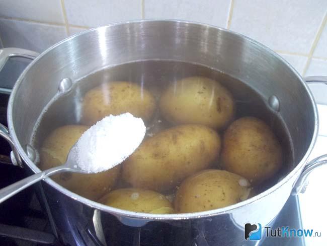 Картошку варить в холодной или горячей воде. Вареный картофель в кастрюле. Картофель в мундире в кастрюле. Картофель вареный в мундире. Варка картофеля в кастрюле в мундире.