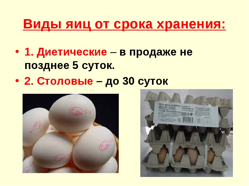 Сколько дней лежат яйца. Срок хранения яиц. Условия хранения яиц. Срок годности яиц. Срок хранения свежих яиц.